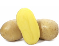 Картофель семенной Вега 1pc 1кг